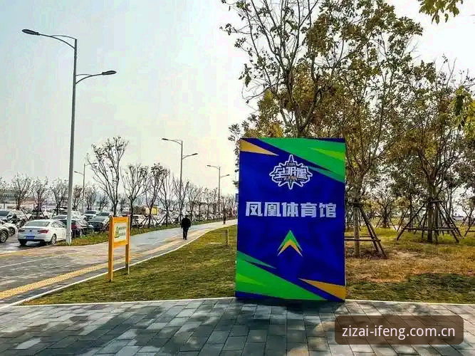 凤凰体育CN APP下载链接使用教程：从数据小白到运动分析内行